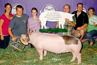 Reserve Champion Mkt Hog - Michigan Livestock Expo