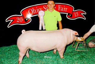 13 Reserve Champion Chester Ohio State Fair